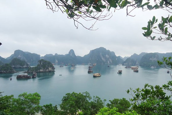 vịnh hạ long