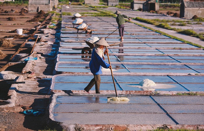 Cánh đồng muối nổi tiếng bậc nhất Nam Định nằm ở thôn Văn Lý, xã Hải Lý, huyện Hải Hậu. Như bao diêm dân khác, những người làm muối ở đây rất vất vả để cho ra được những hạt muối trắng ngần.