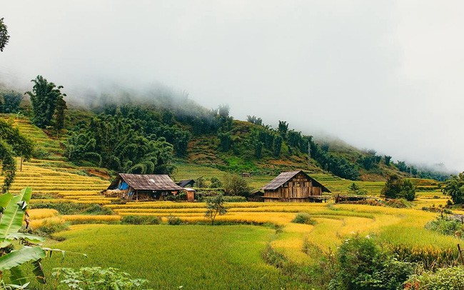 Sa Pa với ruộng bậc thang hay núi rừng hùng vĩ mà vẫn đầy đủ tiện nghi sẽ là điểm đến lý tưởng vào mùa thu. - Ảnh: Lê Quang Huy