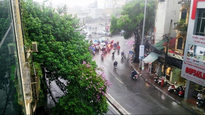 LẠC BƯỚC NHỮNG CƠN MƯA THU BẤT CHỢT
