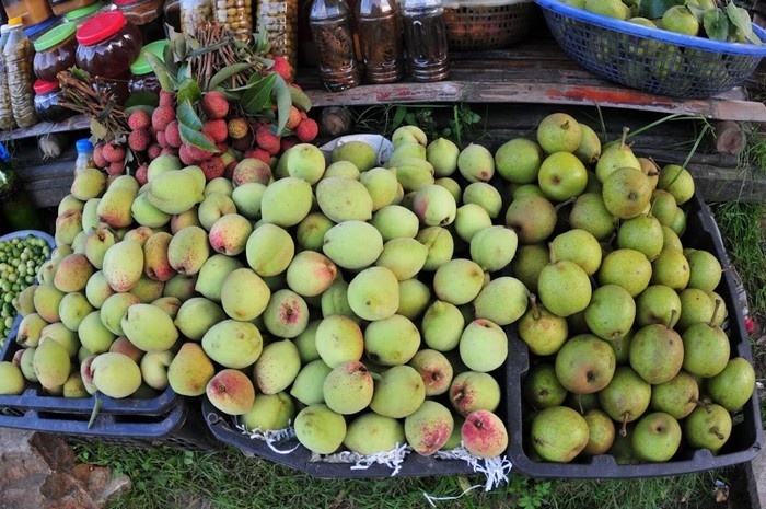 quả ở Mộc Châu