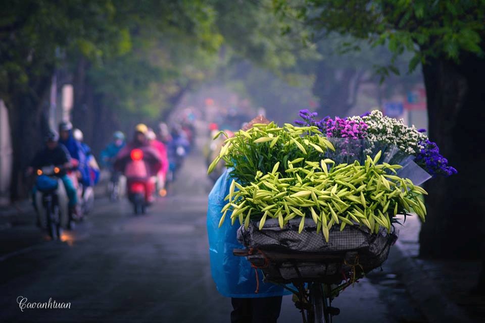 Theo chân người vào phố