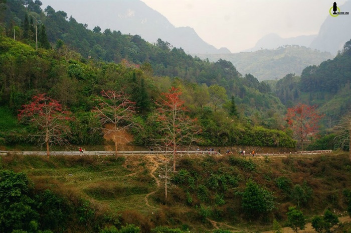 Hà Giang mùa hoa gạo