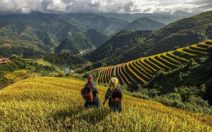 Văn hóa đa dạng của dải đất hình chữ S