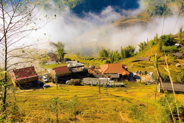 Hương lúa thơm lừng theo sương mờ lảng vảng đâu đây