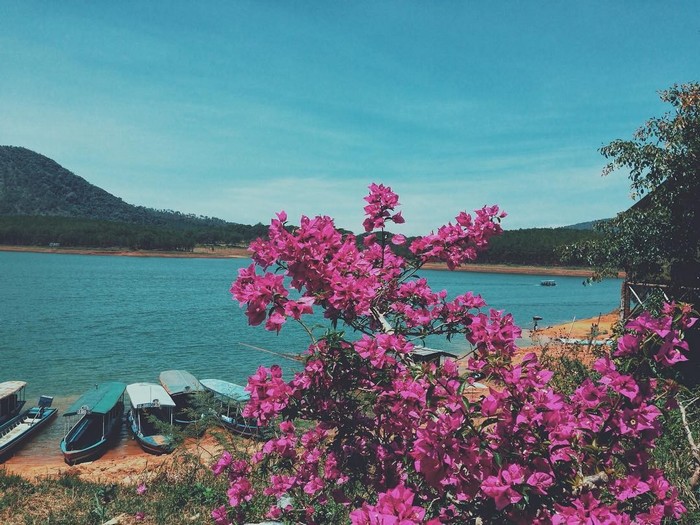 Thiên nhiên theo gót giày