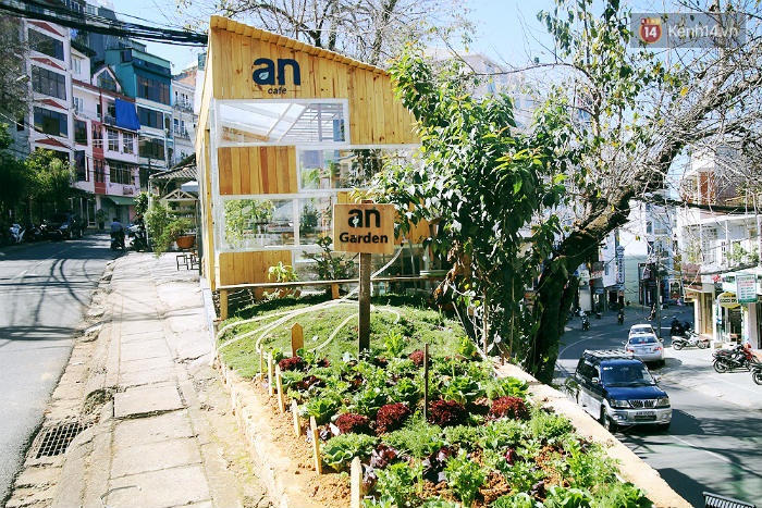 Phía trước quán là một vườn rau cải sạch được trồng để phục vụ khách.