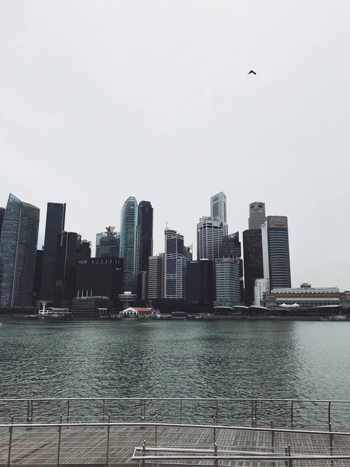 Singapore từ ống kính của Iphone 7 plus - Ảnh: Long Trần