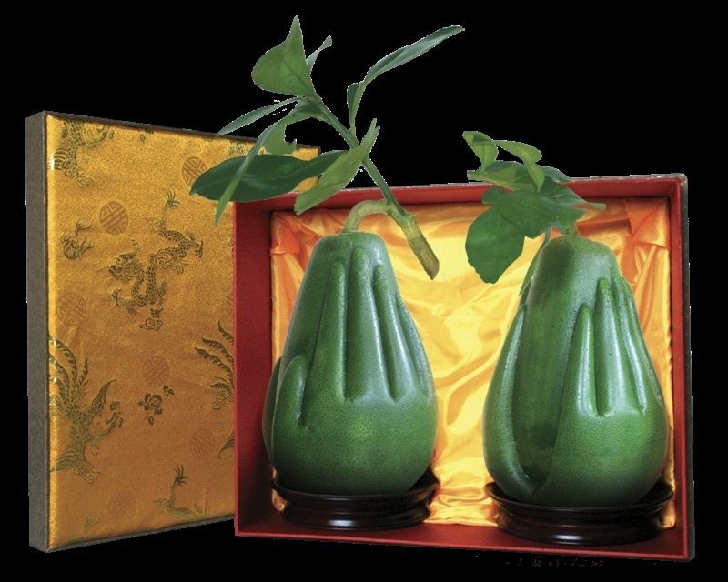 BƯỞI HỒ LÔ 