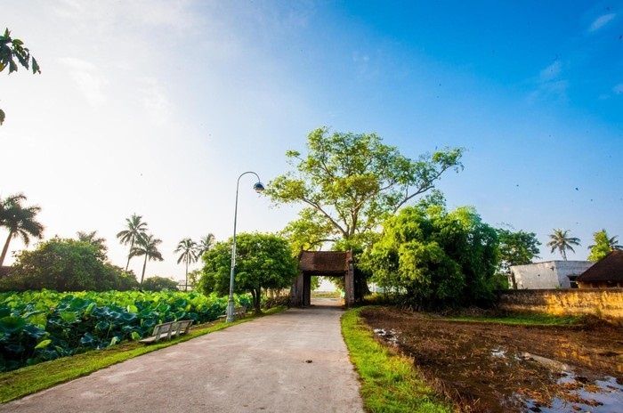 Cung đường xanh mát ở làng cổ Đường Lâm