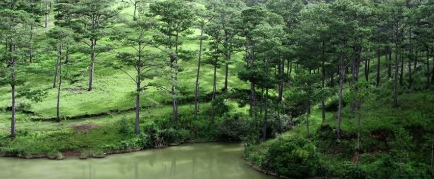 ĐÀ LẠT - LÂM ĐỒNG