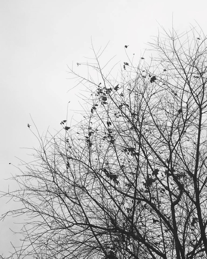 Đẹp chẳng ồn ào. -Ảnh: Iki Oleo