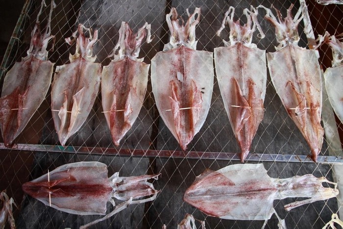 Mực một năng  món quà thú vị từ Cù Lao Chàm 