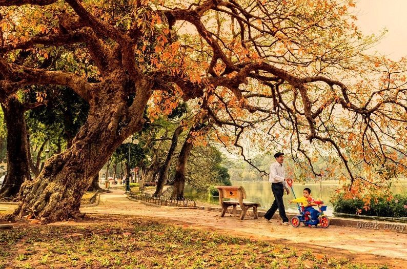Báu vật thủ đô và những chuyện ít nhắc của Hồ Gươm
