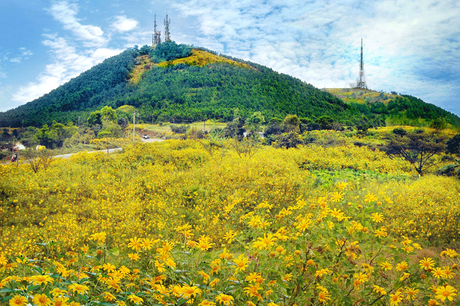 Ham Rong mountain